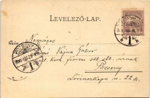 1900 Lillafüred (Miskolc), nyaralótelep, villák. Kiadja Lövy József fia 768. (EB)