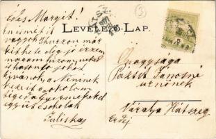 Thurzófüred, Kupele Turzo (Gölnicbánya, Gelnica); Thurzó ház a tóval / villa with lake