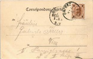 1899 (Vorläufer) Znojmo, Znaim; Panorama. Verlag C. Ledermann jun. (EB)