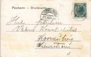 1904 Lednice, Lednice-Valtice, Feldsberg-Eisgrub, Eisgrub; Hansenburg, 1807 ruinenartig erbautes Jag...