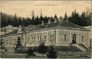 Bártfafürdő, Bardejovské Kúpele, Bardiov, Bardejov; ásványvíz fürdő / mineral water spa (EB)