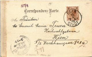 1899 (Vorläufer) Cheb, Eger; von der Wenzelburg / general view. litho (glue mark)