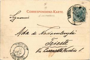 1900 Litomerice, Leitmeritz; Ringplatz / square, market, shops (EK)