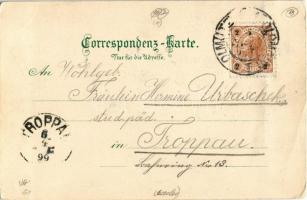 1899 (Vorläufer) Olomouc, Olmütz; Dom / cathedral. Regel & Krug litho (EB)