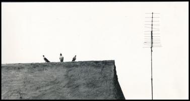 1966 Gyarmati Sándor: Kompozíció című, feliratozott vintage fotóművészeti alkotás, 12,4x23,5 cm