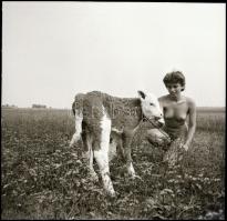 cca 1993 előtt készült felvételek, Menesdorfer Lajos (1941-2005) budapesti fotóművész hagyatékából, ...