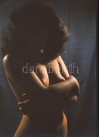 cca 1979 Vincze János (1922-1999) kecskeméti fotóművész hagyatékából 5 db vintage NEGATÍV és/vagy DI...