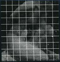 cca 1973 Kalocsai Rudolf (?-?) budapesti fotóriporter és fotóművész hagyatékából 1 db jelzés nélküli vintage fotó, az aktfényképezés műfajából, 12x11,6 cm