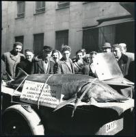cca 1965 A paksi halászok legnagyobb zsákmánya, 135 kg-os és 273 cm-es viza, utánfutóval és felirattal hurcolták körbe a városban, jelzés nélküli vintage fotó, 13x12,8 cm