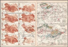 Az Osztrák-Magyar Monarchia és Európa. cca 1900. 14 db térkép 24x31 cm