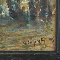 Mednyánszky jelzéssel: Tájkép. Olaj, karton. keretben. 24x29 cm