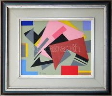 2005 Dévényi János (1956-) Metsződések; akrill-farost; szignált, keretben 28x35 cm