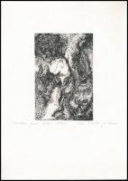 Pál Zsuzsanna (?-): Természeti forma. Rézkarc, papír, jelzett, művészpéldány E.A. 4/6 számozással, 14,5×9,5 cm