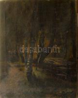 Azonosítatlan jelzéssel. Olajfestmény (sérült) 60x78cm