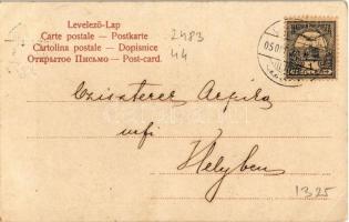 1905 Bettelnder Zigeuner / Erdélyi kolduló cigányok / Transylvanian folklore, Gypsy beggars (EK)