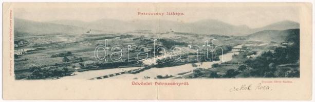 Petrozsény, Petrosani; látkép a fűrészteleppel. Grausam Károly kiadása. Honisch udvari fényképész felvétele. Kihajtható panorámalap / folding panoramacard with sawmill (hajtásnál szakadt / torn at fold)