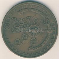 1988. "A Szent Jobb országjárása" nagyalakú Br plakett T:2 Díszdobozban!