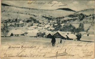 1902 Stájerlakanina, Stájerlak, Steierdorf; télen. Hollschütz F. kiadása / in winter (EK)