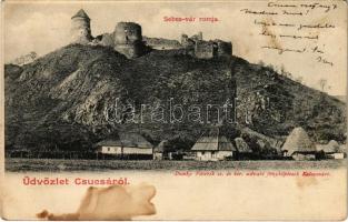 Sebesvár, Bologa (Csucsa); várrom. Dunky fivérek / castle ruins (EK)