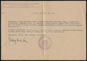 1944 Felsőgalla, 1948 Budapest, 2 db katonai irat (igazolvány, szelvény leszerelési jegyhez)