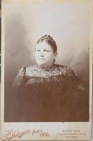 cca 1850-1940 A kismarty Lechner család irathagyatéka. Lechner Ödön építész felmenői, testvéreivel k...