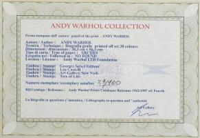 Andy Warhol (1928-1987): Mickey Mouse - Disney. Litográfia, papír, jelzett a nyomaton. Kézzel sorszá...