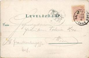 1898 (Vorläufer) Balatonfüred, Savanyú vízkút, Ipoly udvar, gyógyterem, Erzsébet udvar, Kisfaludy Sá...