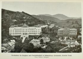 Steier, Lajos: Ungarns Vergewaltigung. Oberungarn unter tschechischer Herrschaft. Mit 87 Abbildungen...