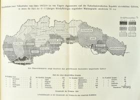 Steier, Lajos: Ungarns Vergewaltigung. Oberungarn unter tschechischer Herrschaft. Mit 87 Abbildungen...