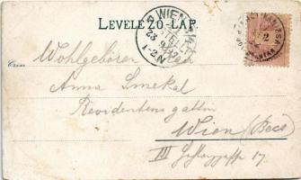 1897 (Vorläufer) Nagykanizsa, utcaképek. Mair József Art Nouveau, floral, litho