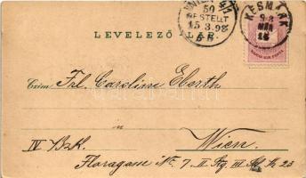 1898 (Vorläufer) Lőcse, Levoca; Honvéd emlékmű, látkép, városháza, Lőcsei fehér asszony. Schwidernoc...