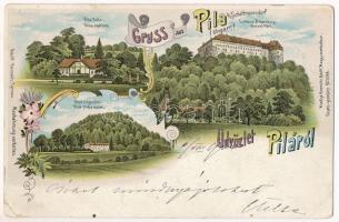 1901 Gidrafűrész, Pila bei Schattmannsdorf, Sägmühl, Píla (Castá); Bolla nyárilak, Felső fűrészmalom, Vöröskő vára / Schloss Bibersburg, Obere Sägemühle / Cerveny Kamen Castle, Villa, sawmill. Adolf Horowitz Art Nouveau, floral, litho (EK)