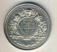 Franciaország 1890 körül "Marianne - Mezőgazdasági Kiállítás" Ag 43,5g átm.: 41mm T:2 k