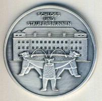 NSZK DN "Göppingen" Ag 27,1g T:1 matt