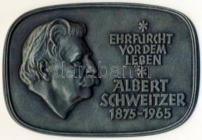 NSZK 1965. "Albert Schweizer" Nagyalakú szögletes átm.: 143mmx160mm Br plakett T:2