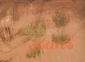 Kalcsó József (1952- ): Tündérlány portré. Olaj, farost, jelzett, dekoratív fakeretben, 30x29,5 cm