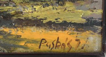 Puskás Imre (1933 - ): Hajnalodik. Olaj, farost, jelzett kopott fakeretben, 50x90cm