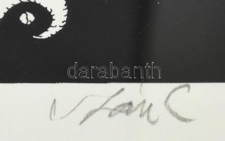 Szász Endre (1926-2003): Irodalmár. Szitanyomat A/P, papír, jelzett, üvegezett alumínium keretben 30...