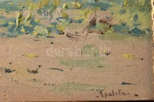 Pörge Gergely (1858-1930): Aratás Rákospalotán, 1905. Olaj, falemez. Jelezve balra lent: Pörge Gerge...