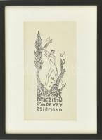 Boromisza Tibor (1880-1960): Ex libris Morvay Zsigmond (1910 körül). Klisényomat, papír, jelzett a nyomaton. 15x8 cm. Üvegezett fa keretben. Ritka!
