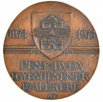 Asszonyi Tamás (1942-) 1973. "Budapest MDCCCLXXIII / 1873-1973 Pest-Buda egyesítésének emlékére...