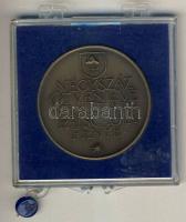 1981. "MÉE-Pápai Schola" Br emlékérem T:1 Eredeti plombált ÁPV tokban (tok sérült)!