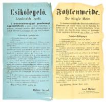 1898 Mosonmegyei csikólegelő felvételi hirdetmény két nyelven 50x70 cm