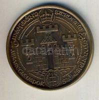 1987. "MÉE Székesfehérvár-Zsigmond" Br emlékérem T:1