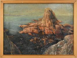 Mici 1900 (?) jelzéssel: Tengerparti sziklák. Olaj, vászon. Dekoratív, sérült fa keretben, 45×60,5 cm