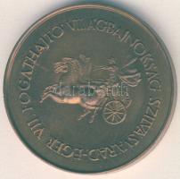 DN "VI. Fogathajtó Világbajnokság-Szilvásvárad" Br emlékérem T:1