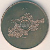 DN "VI. Fogathajtó Világbajnokság-Szilvásvárad" Br emlékérem T:1