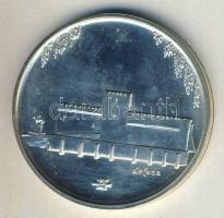 DN "Gyulai Várszínház" Ag emlékérem 39g T:2