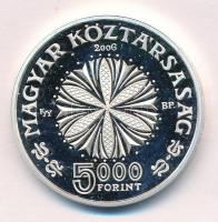 2006. 5000Ft Ag "Bartók Béla" kapszulában T:1- (PP)
Adamo EM201