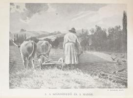 Hermann Ottó: A madarak hasznáról és káráról. Csörgey Titusz képeivel. Bp., 1901., (Franklin-ny.), 2...